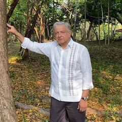 México en la COP26: qué ha dicho AMLO sobre la declaratoria