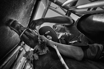 Los niños jockeys (de entre 5 y 10 años) viajan a pelo, descalzos, con poco equipo de protección y en caballos pequeños, durante las carreras de tradicionales de Maen Jaran, en la isla de Sumbawa, Indonesia.