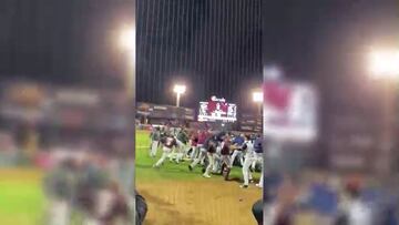 ¡Inadmisible! En bronca entre Tomateros y Algodoneros, aficionado agredió a un jugador