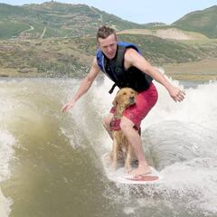 A este adorable Golden Retriever de 20 meses le va el wakesurf