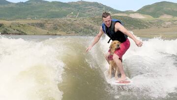 Kicker, un Golden Retriever practicando wakesurf