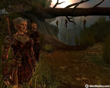 Dragon Age: Origins, Entrevista