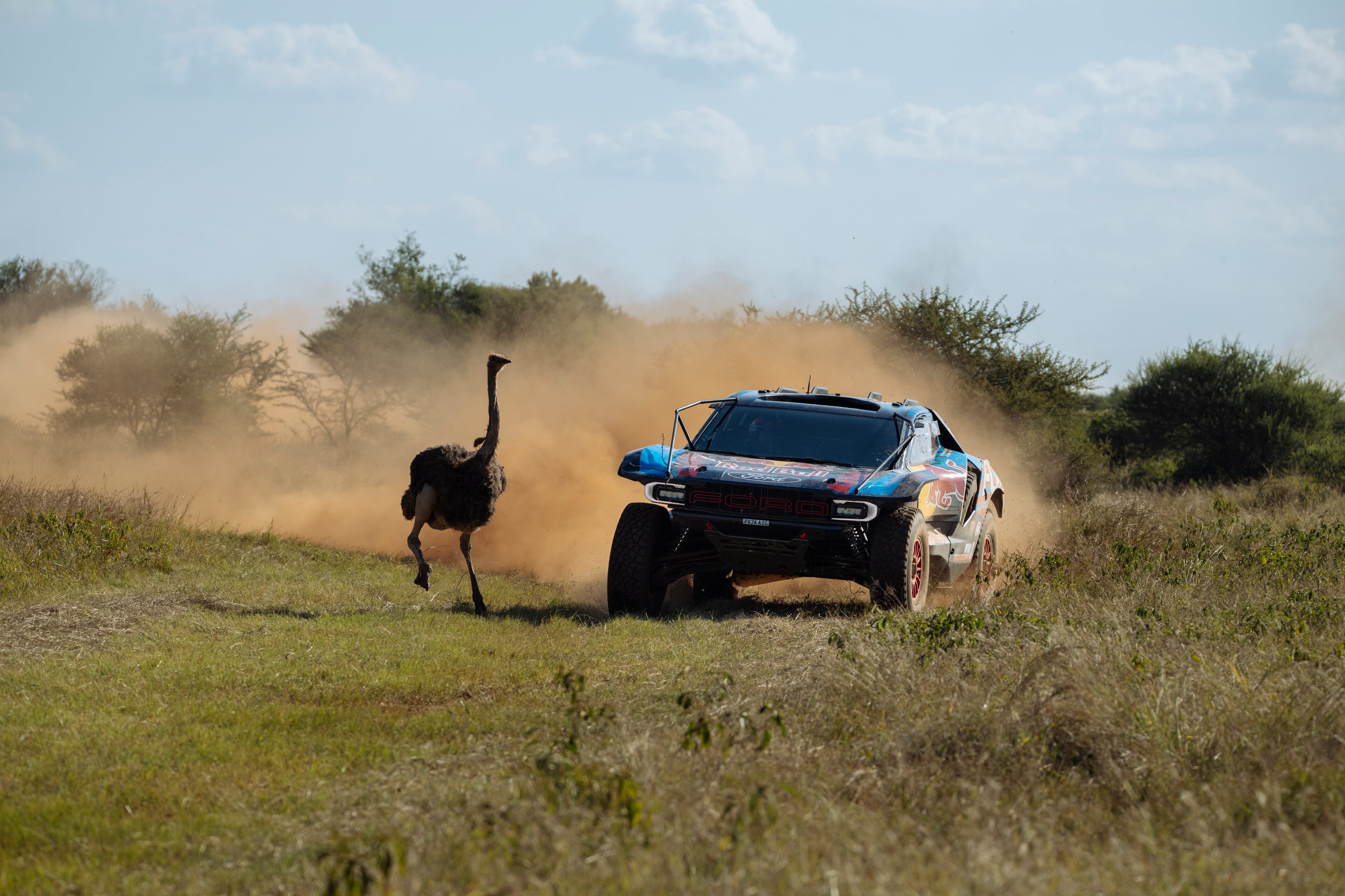 Nani Roma y Álex Haro con el Ford en el Rally de Sudáfrica, donde participa la marca del óvalo junto a Carlos Sainz.