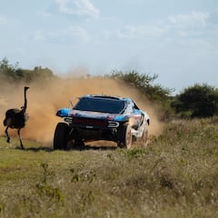 Roma planta cara a Toyota en casa
