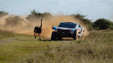 Nani Roma y Álex Haro con el Ford en el Rally de Sudáfrica, donde participa la marca del óvalo junto a Carlos Sainz.