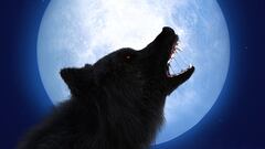 The French ‘werewolf’ who caused panic in Guyenne and claimed to have devoured several children: “They are a supreme delight”