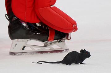 Una rata de plástico sobre el hielo del Amerant Arena de Florida aparece junto al patín de Sergei Bobrovsky, portero ruso de los Florida Panters. Su equipo se impuso 5-3 a los Edmonton Oilers de Canadá y los seguidores celebraron la victoria arrojando a la pista tras el partido los tradicionales roedores, como vienen haciendo desde hace décadas. 