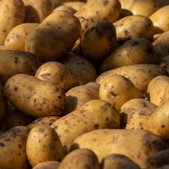 Un agricultor se quedó tirado con 32 toneladas de patatas en su campo: tiempo después, su granja se llenó de cientos de coches
