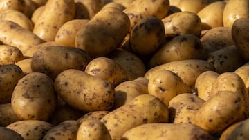 Patatas