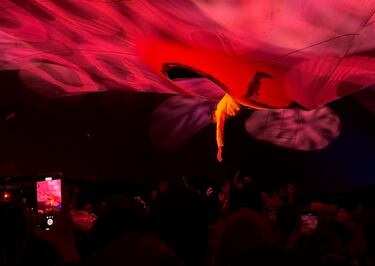 El fenómeno mundial de “Fuerza Bruta Wayra” aterriza en Chile