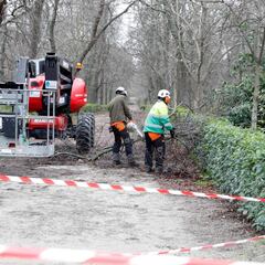 Reapertura de El Retiro hoy: zonas y puertas del parque abiertas tras Filomena