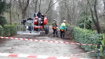 MADRID, 22/02/2021.- Empleados forestales retiran ramas ca&iacute;das de una de las &aacute;reas acotadas del parque de El Retiro durante la reapertura de varias zonas, despu&eacute;s de que los servicios del Ayuntamiento hayan llevado a cabo los trabajos