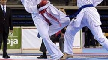 <b>CAMPEONATOS DE ESPAÑA. </b>Óscar Martínez de Quel, con el cinturón azul, ha ganado en la categoría Open.