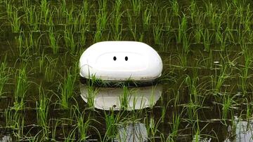 Nissan crea un pato-robot que cuida los arrozales japoneses