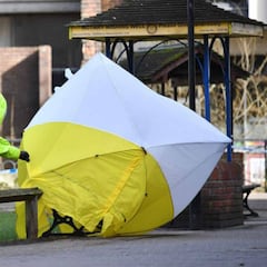 Seis países planean un boicot a Rusia en apoyo a Inglaterra