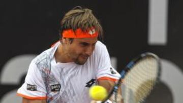David Ferrer.