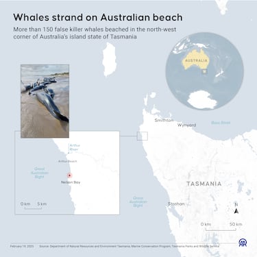 Infografía del lugar donde se han encontrado a todas las orcas varadas. 