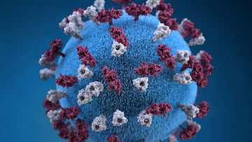 Health officials warn the entire state is at risk, urging vaccinations as highly contagious measles cases spread beyond Upstate.