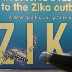 Experts seek Rio Games move over Zika virus fears
