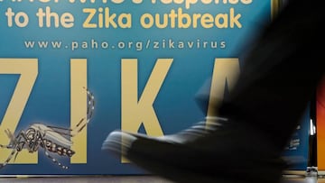 Experts seek Rio Games move over Zika virus fears