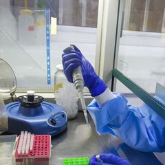 Segundo retiro 10% AFP y coronavirus: casos y muertes - miércoles 18 de noviembre