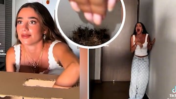 La reacción de Lola Lolita al meter la mano en un cubo de insectos: deben verlo con volumen