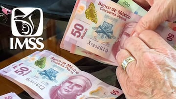 Pago aguinaldo IMSS 2024: quiénes no tienen derecho a recibir esta prestación y motivos