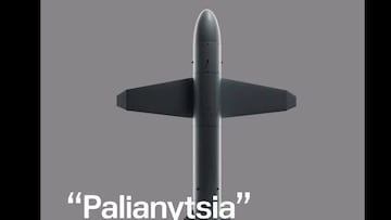 Palianytsia