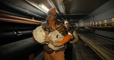 El humorista y el actor hacen de hermanos que acompañan a Torrente en la misión que planean en 'Torrente 5'.