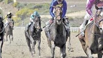 <b>DEBUT TRIUNFAL. </b>En su primera carrera en España, Expensive Problem derrotó al favorito, Lord Vell.