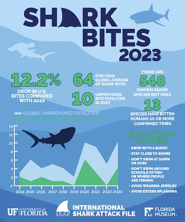 7 curiosidades sobre los ataques de tiburón en 2023