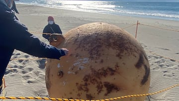 A ball is seen on a beach in Hamamatsu, Japan February 22, 2023 in this still image obtained from social media on  Twitter/@XMiS10C4M6QthSG via REUTERS  THIS IMAGE HAS BEEN SUPPLIED BY A THIRD PARTY. MANDATORY CREDIT. NO RESALES. NO ARCHIVES.