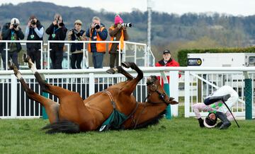 Allegorie De Vassy, una yegua casta?a de ocho a?os, y su jinete, Paul Townend, acabaron en la hierba del Hipdromo de Cheltenham (Gran Breta?a) tras una aparatosa cada durante la carrera Mrs Paddy Power Mares Chase, para yeguas de cinco a?os o ms.  La victoria fue para Dinoblue y su jockey, Mark Walsh, favoritos en las apuestas.  