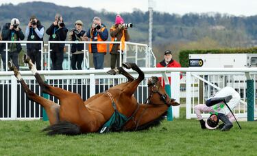 Allegorie De Vassy, una yegua castaña de ocho años, y su jinete, Paul Townend, acabaron en la hierba del Hipódromo de Cheltenham (Gran Bretaña) tras una aparatosa caída durante la carrera Mrs Paddy Power Mares’ Chase, para yeguas de cinco años o más.  La victoria fue para Dinoblue y su jockey, Mark Walsh, favoritos en las apuestas.  