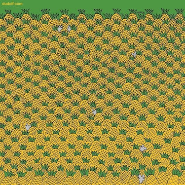 Reto visual: ¿Puedes encontrar los cuatro elotes escondidos entre las piñas?