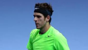 Del Potro gana a Tipsarevic tras endosarle un 6-0 inicial