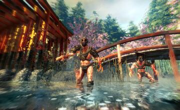 Captura de pantalla - Shadow Warrior (PS4)