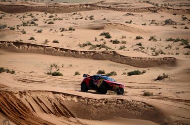 Sebastien Loeb y Fabian Lurquin.