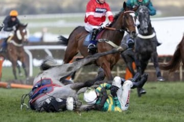 La espectacular caída de un jinete en el Festival de Cheltenham