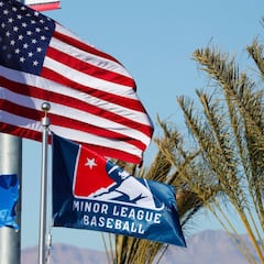 Peloteros de MLB donan 500 mil dólares para jugadores de Ligas Menores