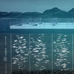 Ramon Navarro: "La industria salmonera contamina y destruye el ecosistema"