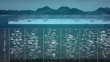 Infograf&iacute;a de c&oacute;mo son las piscifactor&iacute;as de salmones en Chile, seg&uacute;n el documental Coraz&oacute;n Salado de Patagonia. 