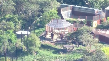 A view of a lion enclosure, after escaped lions were contained, at Taronga Zoo in Sydney, Australia, November 2, 2022 in this still image taken from video.  Nine Network/via Reuters TV/Handout via REUTERS   ATTENTION EDITORS - THIS IMAGE HAS BEEN SUPPLIED BY A THIRD PARTY. NO RESALES. NO ARCHIVES. AUSTRALIA OUT. NO COMMERCIAL OR EDITORIAL SALES IN AUSTRALIA. NEW ZEALAND OUT. NO COMMERCIAL OR EDITORIAL SALES IN NEW ZEALAND. PAPUA NEW GUINEA OUT. NO COMMERCIAL OR EDITORIAL SALES IN PAPUA NEW GUINEA. Broadcast: No use Australia / New Zealand / Papua New Guinea. Digital: No use Australia, New Zealand, Papua New Guinea-based internet sites, mobile platforms or sites of media organisations based in those countries, NVO clients/ smh.com.au/news.com.au.