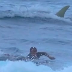 "Nos reímos porque pensamos que huía de una mantarraya, pero era un tiburón gigante"