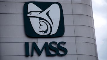 Senado aprueba Ley del IMSS para trabajadores independientes: ¿de qué trata y cuándo entra en vigor?