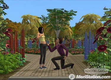 Los Sims 2: Mansiones y Jardines, Impresiones