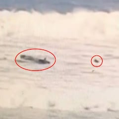 Dos surfistas intentan sortear las prohibiciones del coronavirus en barco y acaban naufragando