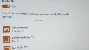 El Switch Pro Controller se puede usar en PC y Mac