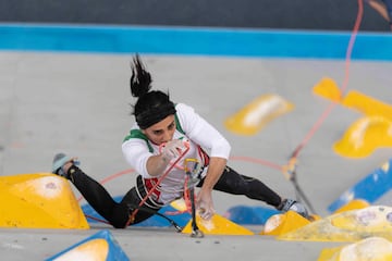 La escaladora iraní compitió el pasado 16 de octubre en Seúl, Corea del Sur, en escalada deportiva sin velo. Según las declaraciones de la deportista fue un hecho "involuntario" pero se teme que a su regreso al país sea encarcelada. 
