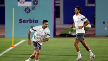 Aleksandar Mitrovic.